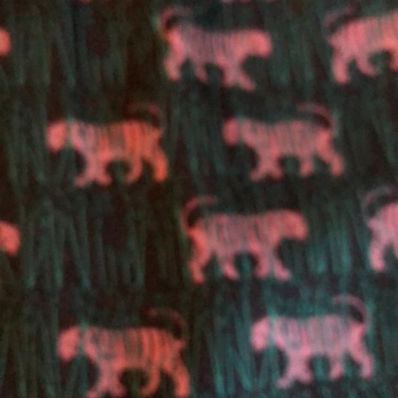 JCrew Tiger Pants - Picture 4 of 4